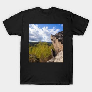 Devil's Wall, rocks, Blankenburg, Harz, Saxony-Anhalt, Germany T-Shirt